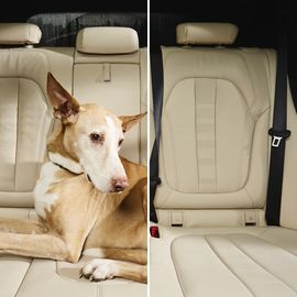 Автомобільний ароматизатор SONAX Air Freshener - Havana Love (368041), Аромат: Havana Love, зображення 6