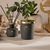 Ароматичні палички Aroma Home Monte-Carlo - Majestic Prince 100 мл (112950), Об’єм: 100 мл, Аромат: Majestic Prince, зображення 3